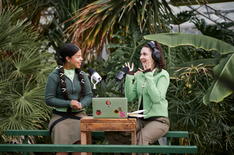 MV7+ Podcast Microphone: Redefined Audio Innovation for the Modern Creator